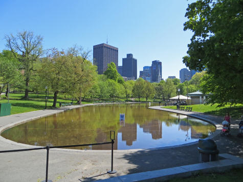 Frog Pond in Boston MA
