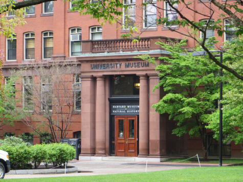Harvard Museum of Natuaral History